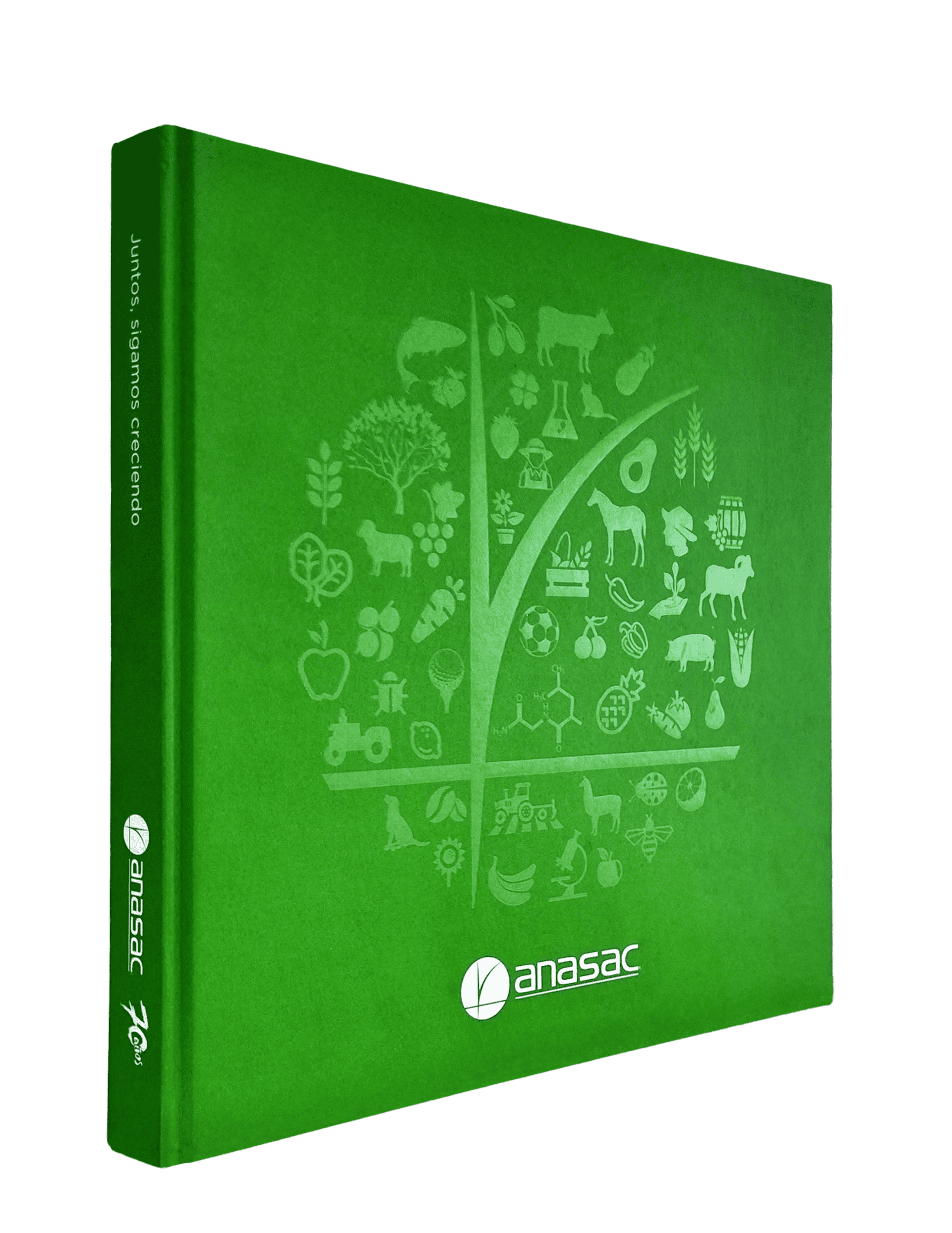 Libro verde ANASAC