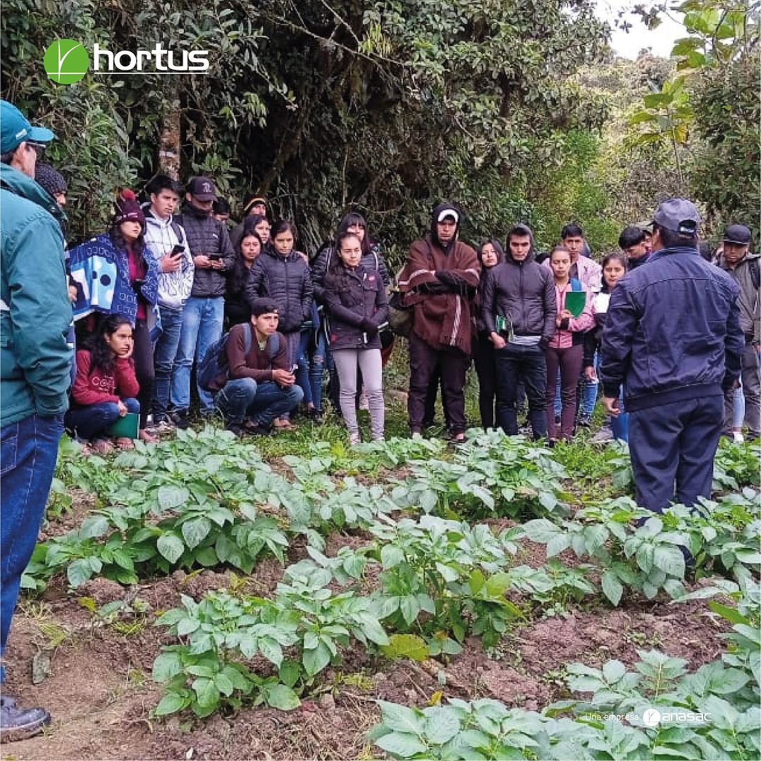 Lee más sobre el artículo ¡Hortus, Perú en Acción! Compartiendo Conocimientos en Cutervo para un Futuro Agrícola Sostenible 🌱