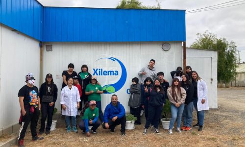 Huerta Educativa en el Liceo Manuel Plaza Reyes: Un Viaje Educativo Inolvidable