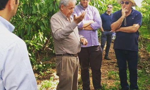 Tecnología y Agricultura: Innovación en la Industria Frutícola de Chile