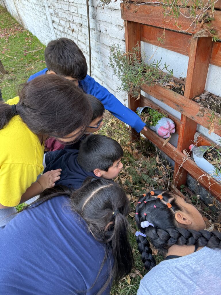 Lee más sobre el artículo Huerta Educativa – Corporación NAIM Curicó