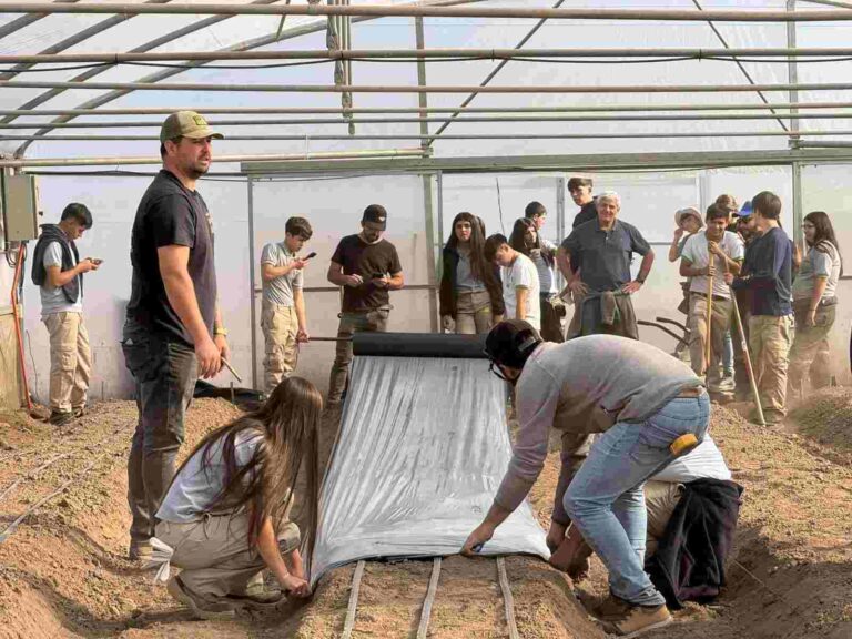 Lee más sobre el artículo Huerto Escolar ANASAC y SNA Educa: Impulsando el Emprendimiento Agrícola en Talagante