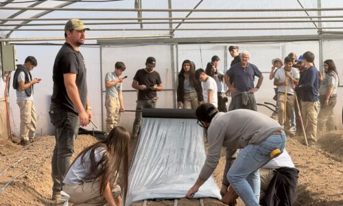 Huerto Escolar ANASAC y SNA Educa: Impulsando el Emprendimiento Agrícola en Talagante