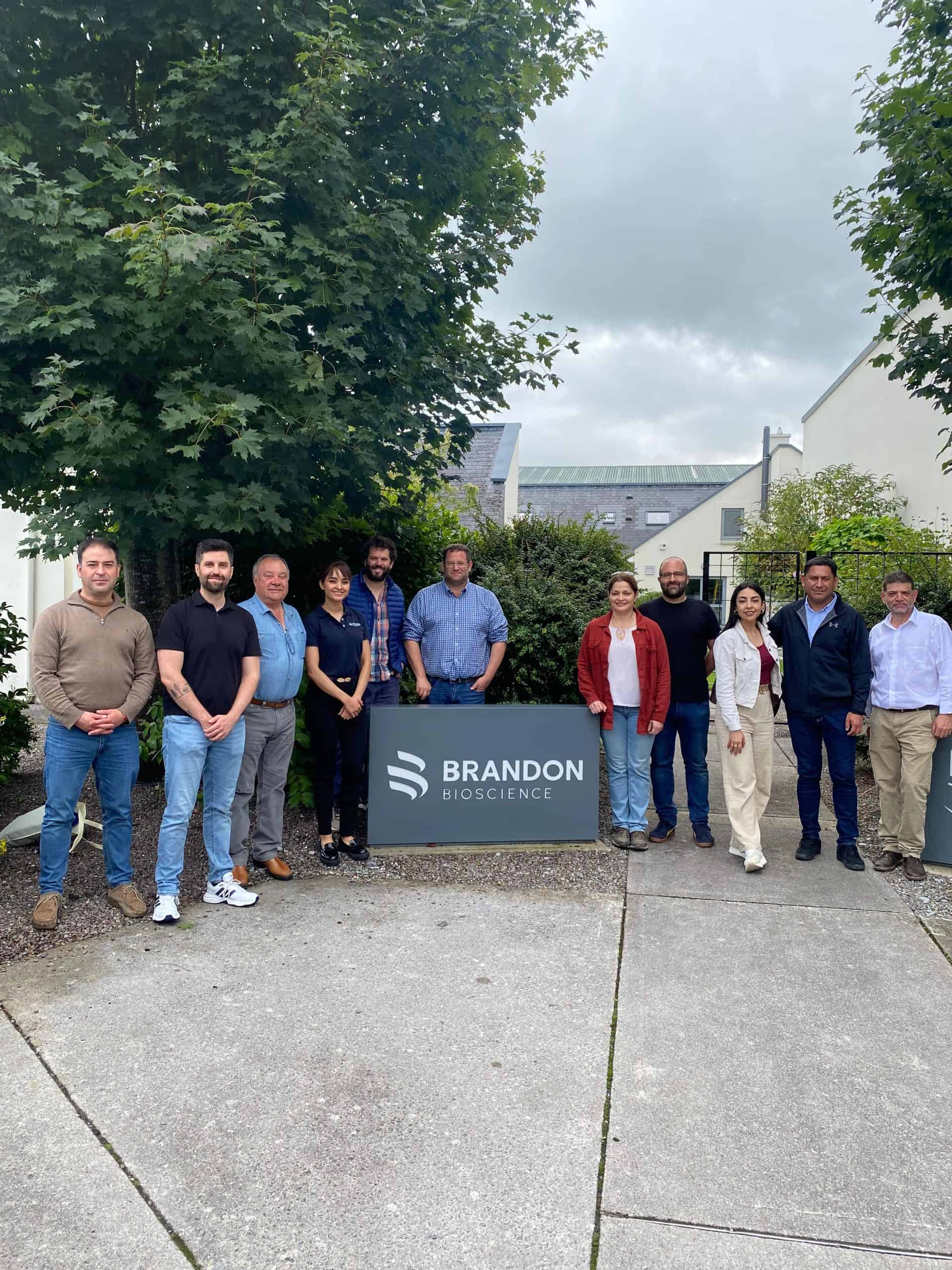 ANASAC SIN FRONTERAS: Gira técnica a Irlanda con clientes y asesores 2 BRANDON