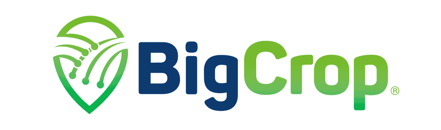 Innovación & Nuevos Negocios 146 Logo Bigcrop 1