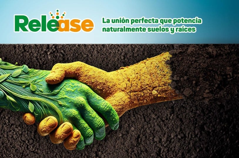 Innovación & Nuevos Negocios 141 release