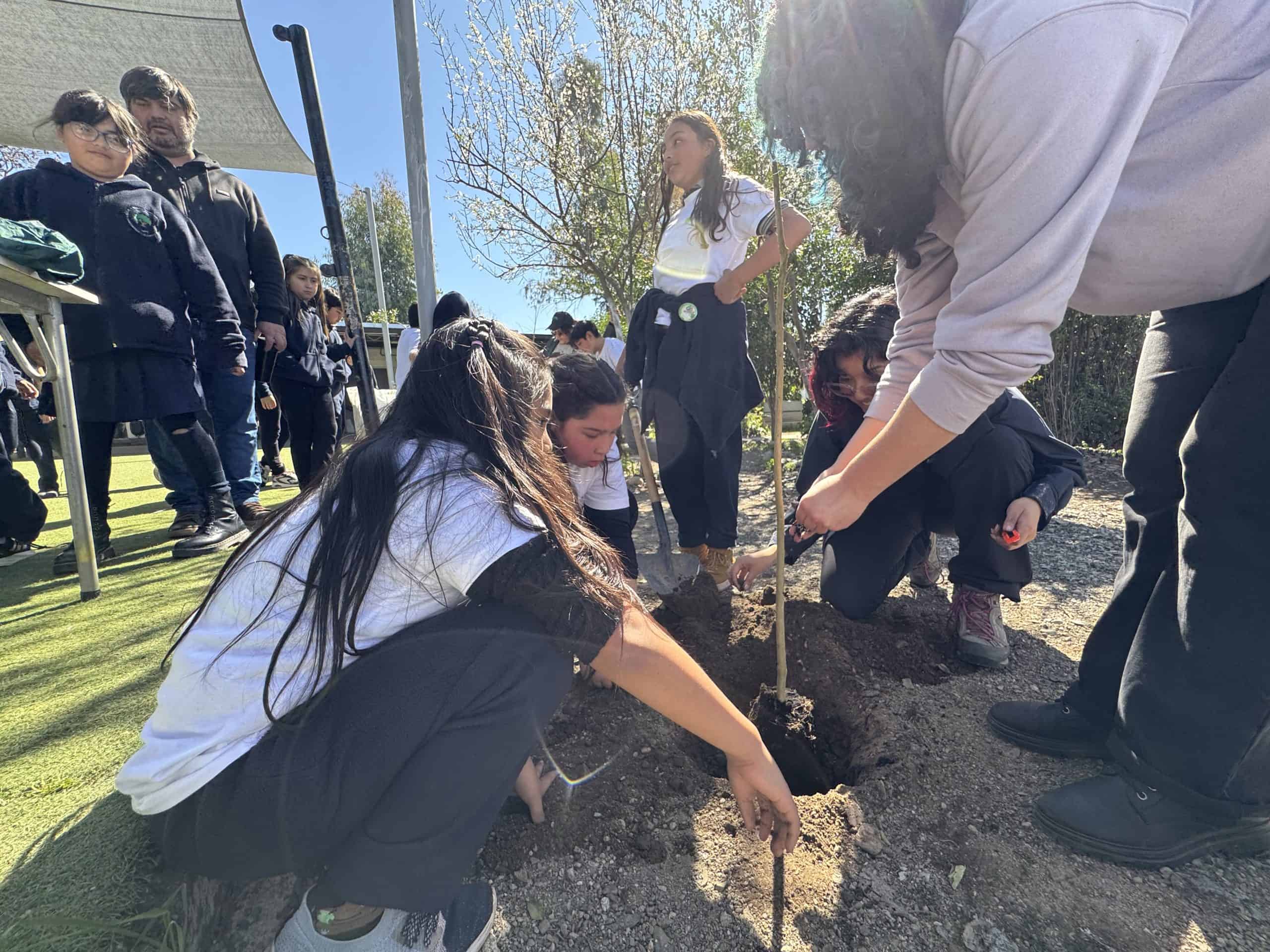 Reforestación Escuela Lipangue, Lampa 2025. Juntos reforestamos, juntos cuidamos 9 Actividad CONAF ANASAC Agosto 2025 11
