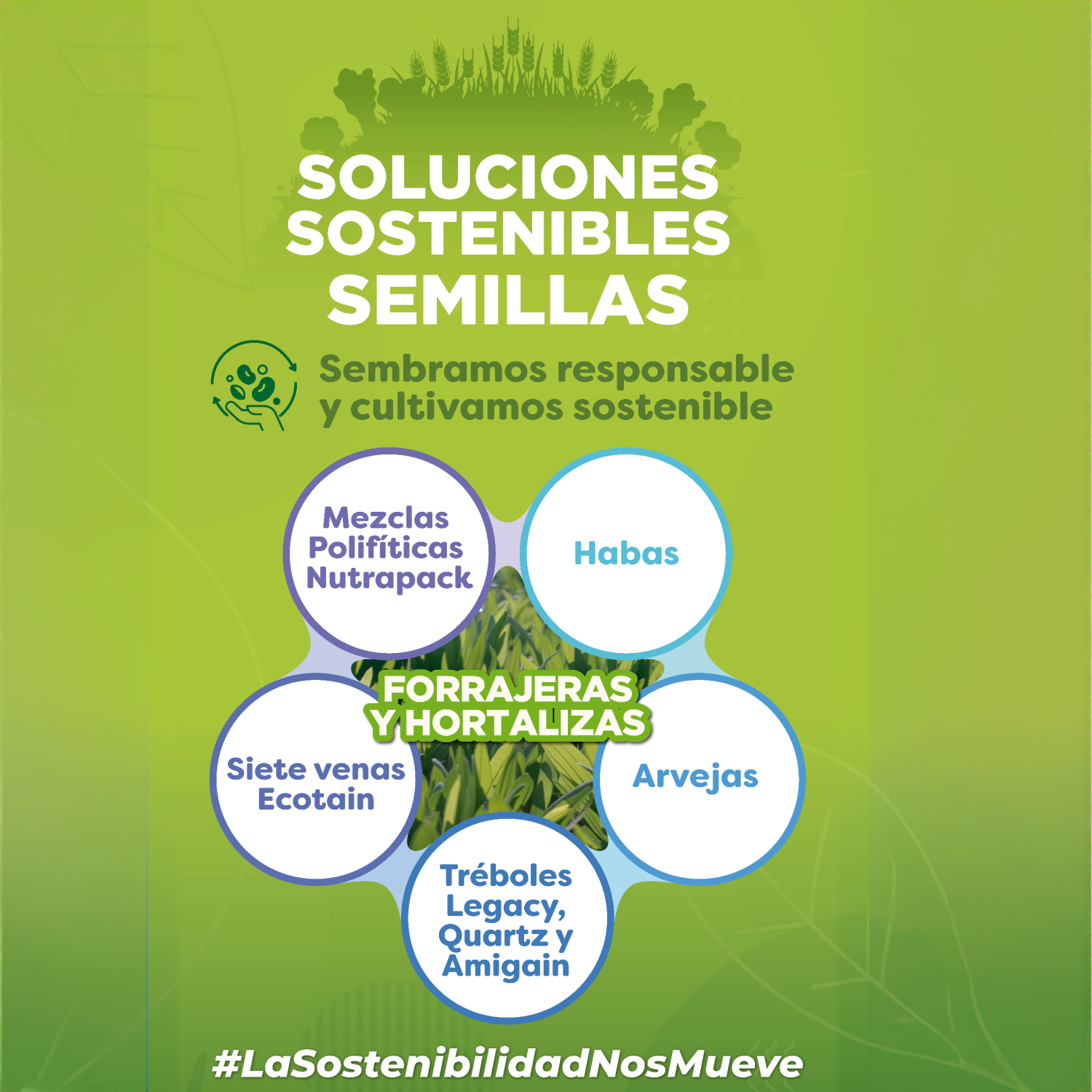 semillas