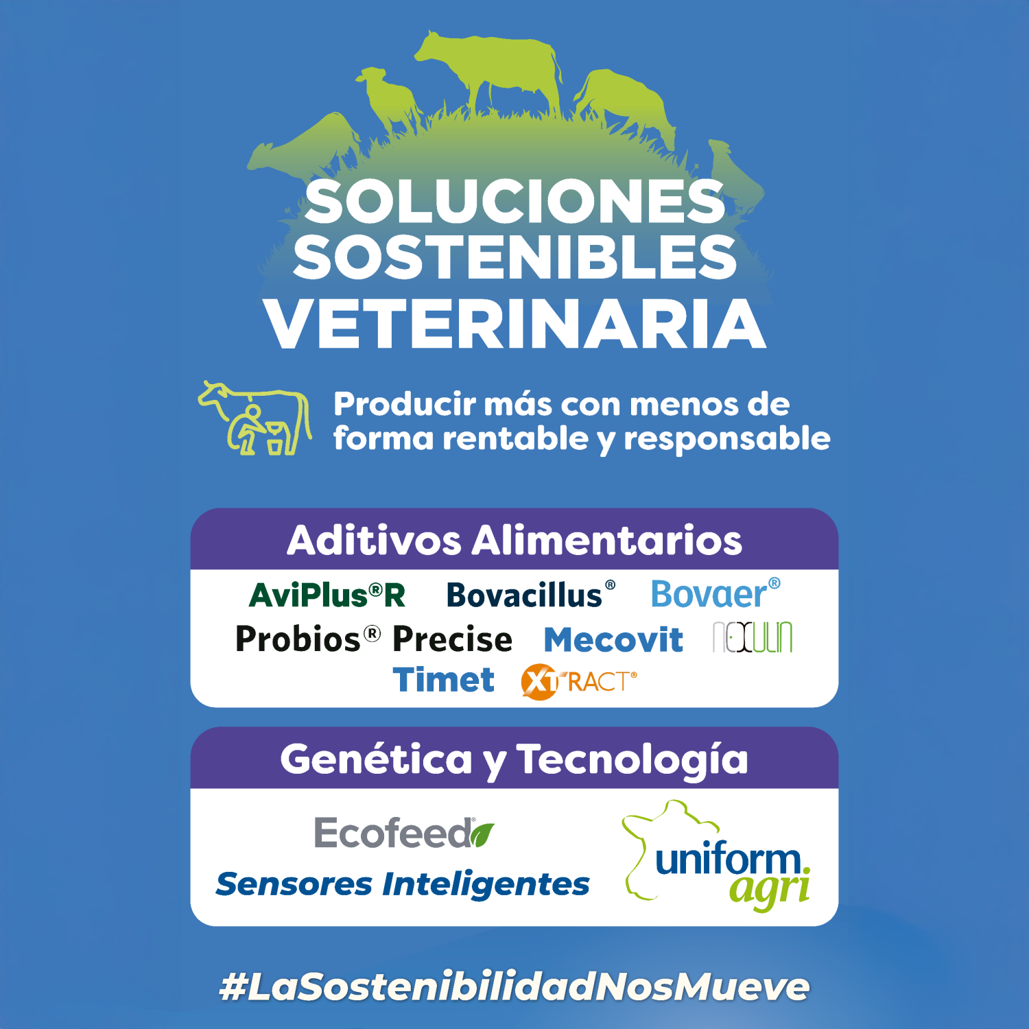 veterinaria