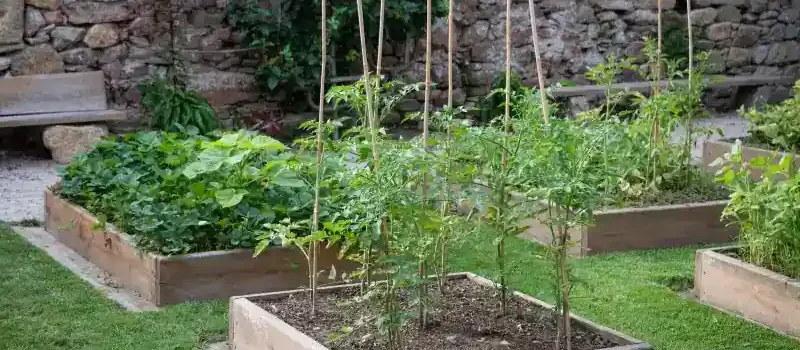 Jardin y hogar