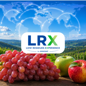 lrx IMAGEN