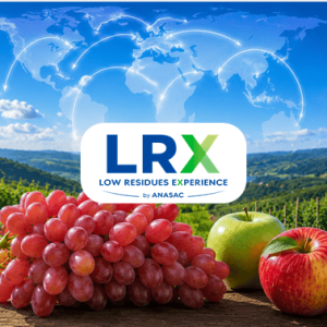 lrx IMAGEN